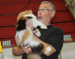 Guardian Angels will be at the Cats on the Beach Cat Show!